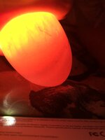 1D03302A-5EFA-4F12-B95A-03F00826C5F9.jpeg