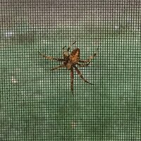 E8AD542D-AE29-4651-94B4-583349E855B7.jpeg