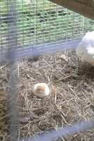 20180703_103537.jpg