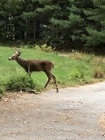 27D07547-BD39-43C0-A268-E4AD5AA0AA65.jpeg