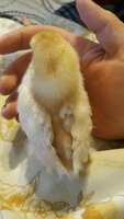 20191003_184215.jpg