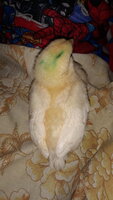 20191003_184950.jpg