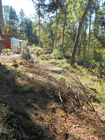 DSCN2272.JPG