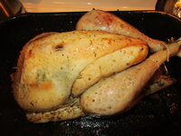 IMG_5525.JPG