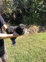 5B6252E4-E821-41D7-82F0-E391189B15FA.jpeg