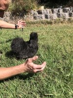 9EC44142-CA5B-4202-BABD-2F3596123367.jpeg