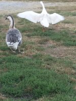 20191003_072428.jpg