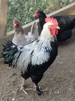 20191006_170838.jpg