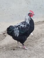 20191006_170729.jpg