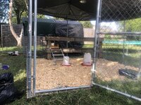 IMG_1353.jpg