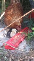 20191008_085459.jpg