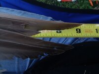 20191008_181457.jpg