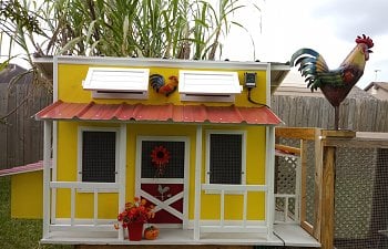 Going Mobile: For the Love of Chickens