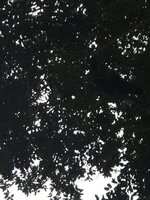 F699EF76-1309-4E21-B8D9-ACCCA3BC0295.jpeg