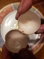 20191009_204136.jpg
