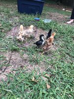 8D54C087-FABC-497C-8233-02A06BE565E3.jpeg