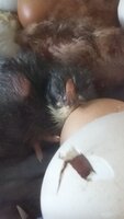 20191010_105841.jpg
