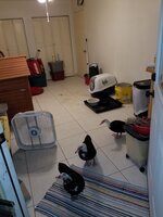 20191009_195603.jpg