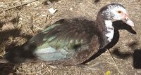20191007_124447.jpg