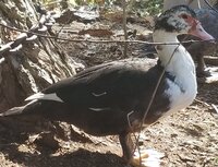 20191007_124937.jpg