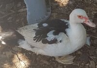 20191007_120551.jpg