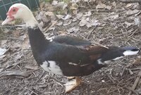20191008_172953.jpg