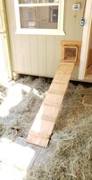 IMG_20190901_160129_831.jpg