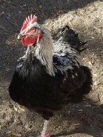 20191010_141158.jpg