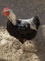 20191010_141153.jpg