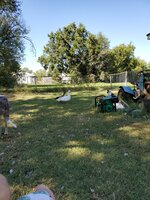 20191008_114729.jpg