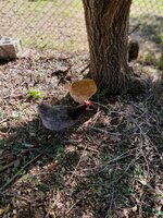 20191008_103938.jpg