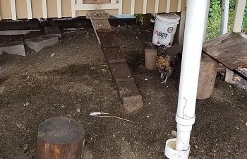 20191012_102021.jpg