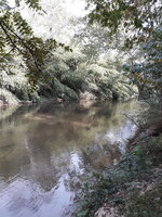 20191012_152038.jpg