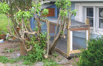 IMG_7732.jpg