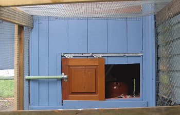 IMG_7736.jpg