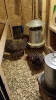20190927_050527.jpg
