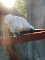 IMG_1692.JPG