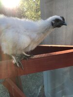IMG_1691.JPG