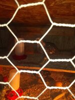 IMG_20191012_222714454.jpg