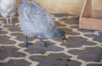 4A3EA71D-D713-4CDF-A915-ABC004505721.jpeg