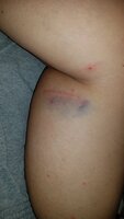 20190826_223240.jpg