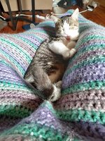 20191013_124231.jpg