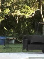 585E1515-5470-4250-B331-C54F3E795361.jpeg