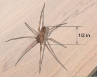 Screen Shot 2019-10-16 at 6.04.56 AM.png