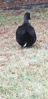 20191016_102105.jpg 20191016_102105.jpg