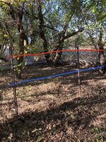 44C35849-3D34-4B12-854F-00AD8D4BC8EA.jpeg