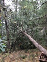 026CAA19-D6CD-4807-B604-14C929B1819E.jpeg