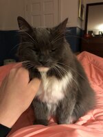 7569751B-E1C7-4208-ADAE-007E316FA911.jpeg