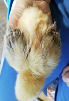 IMG_20191019_142554.jpg