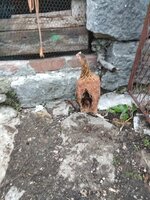 IMG_20191003_174840.jpg